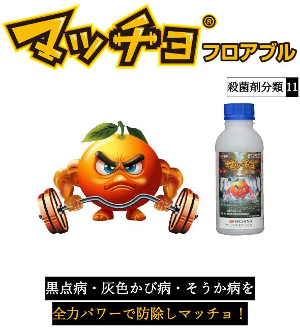 �t���A�u��