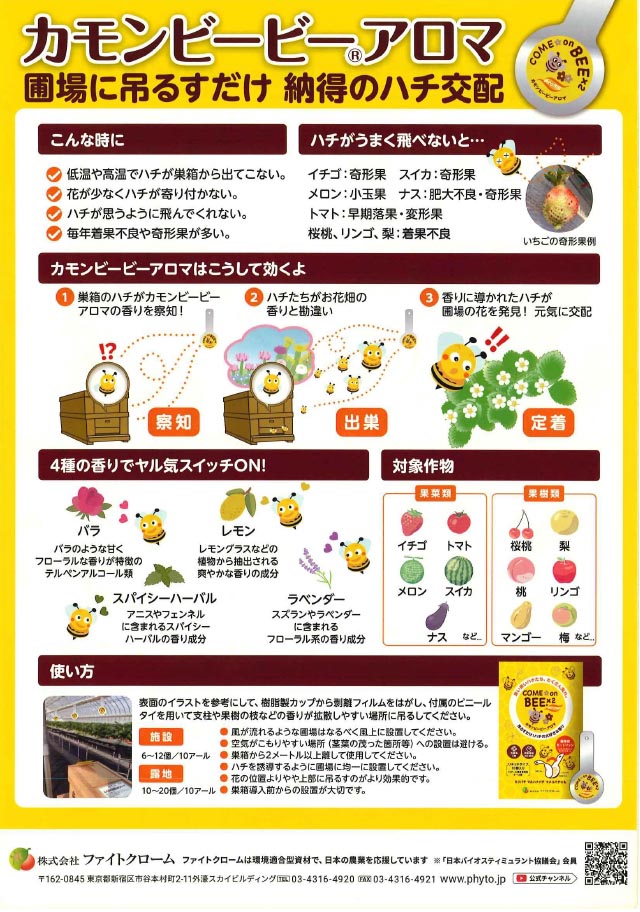 �J�����r�[�r�[�A���}